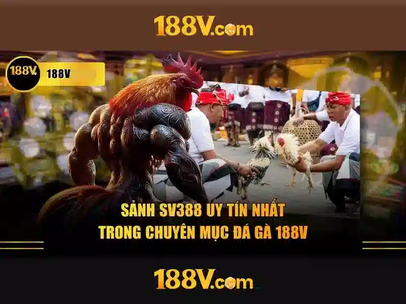 Hướng Dẫn Đăng Ký 188V