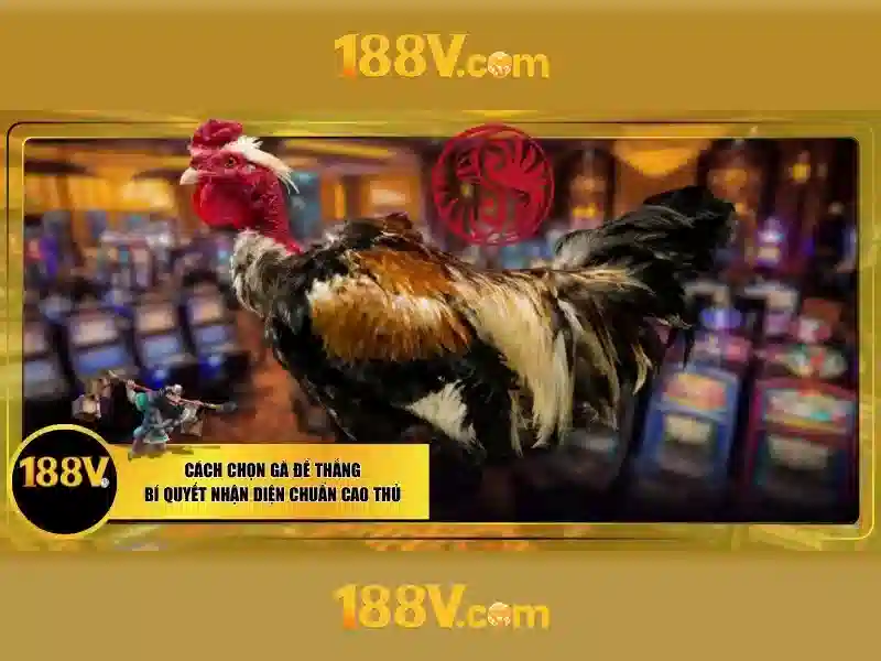 Ưu Đãi Đặc Biệt Cho Thành Viên 188v Ios