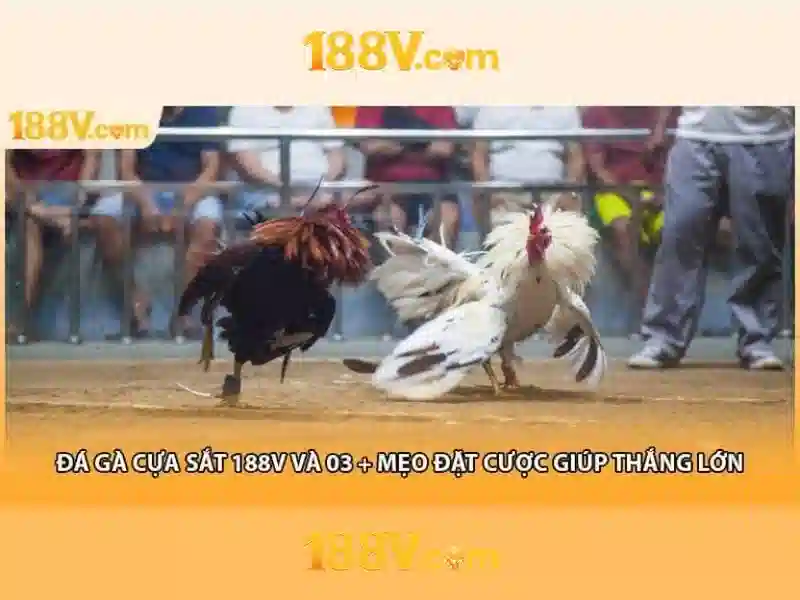 Lợi Ích Đăng Nhập Slot 188V