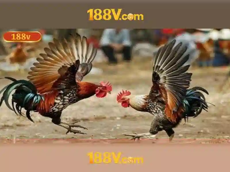 Hướng dẫn rút tiền 188V