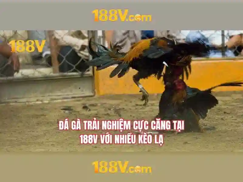 Khám Phá Nhà Cái 188V