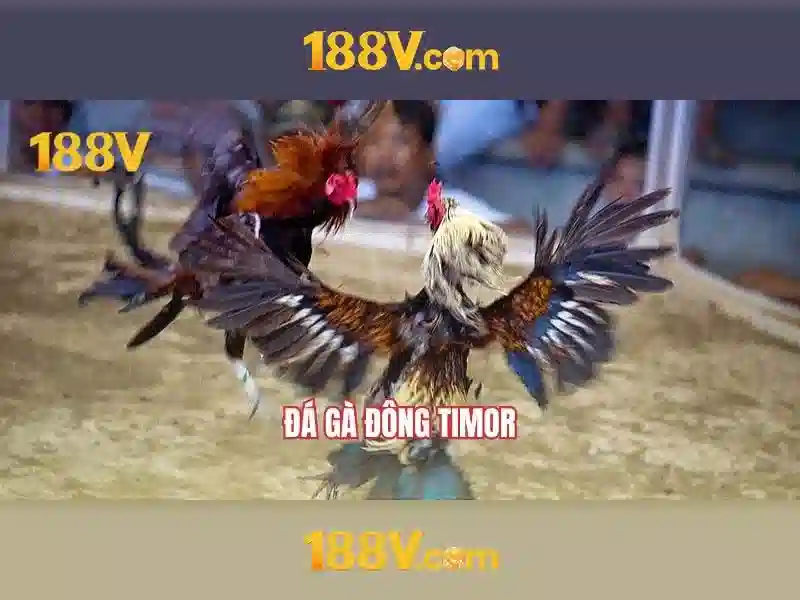 Hướng Dẫn Rút Tiền 188V
