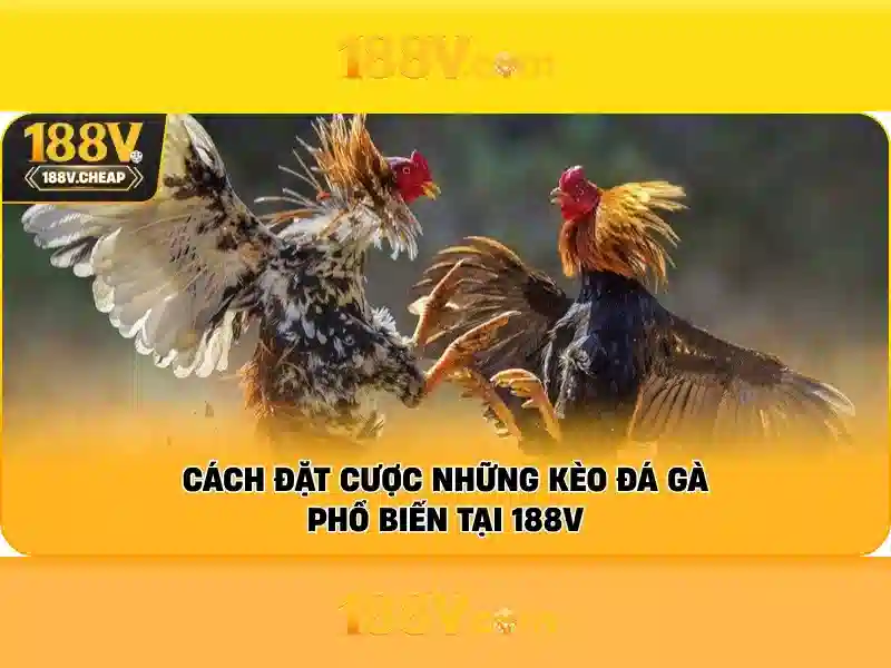 Đăng Ký 188V
