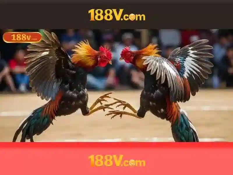 Hướng Dẫn Sử Dụng Giftcode 188v