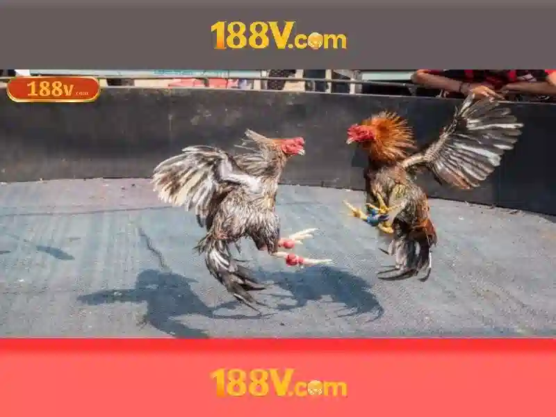 Trải Nghiệm Slot 188V