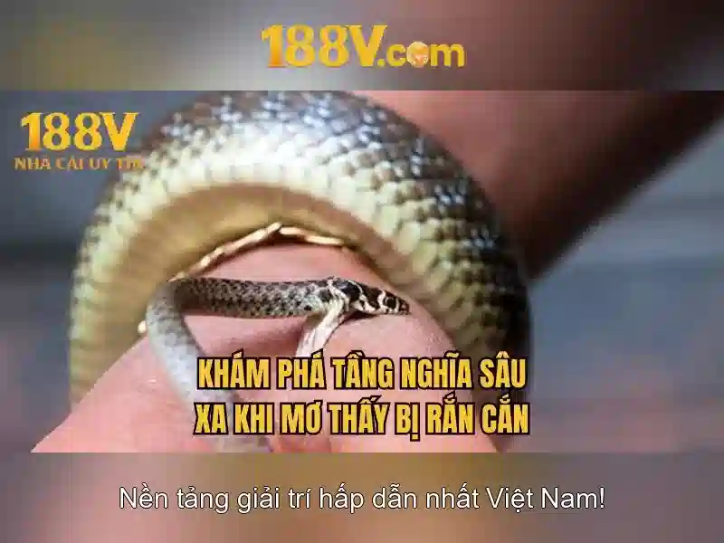 Hướng Dẫn Rút Thưởng 188V