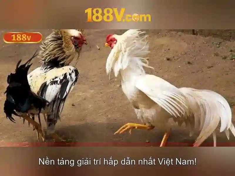 Điều Khoản Slot 188V