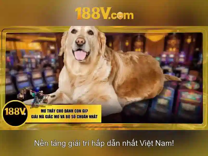 Ưu Đãi Slot365