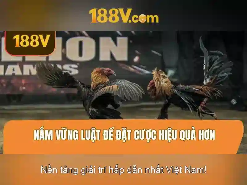 Chương trình 188v free tại 188V