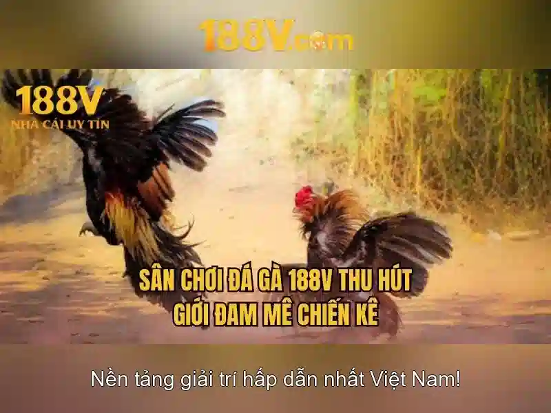 Ưu đãi 188v