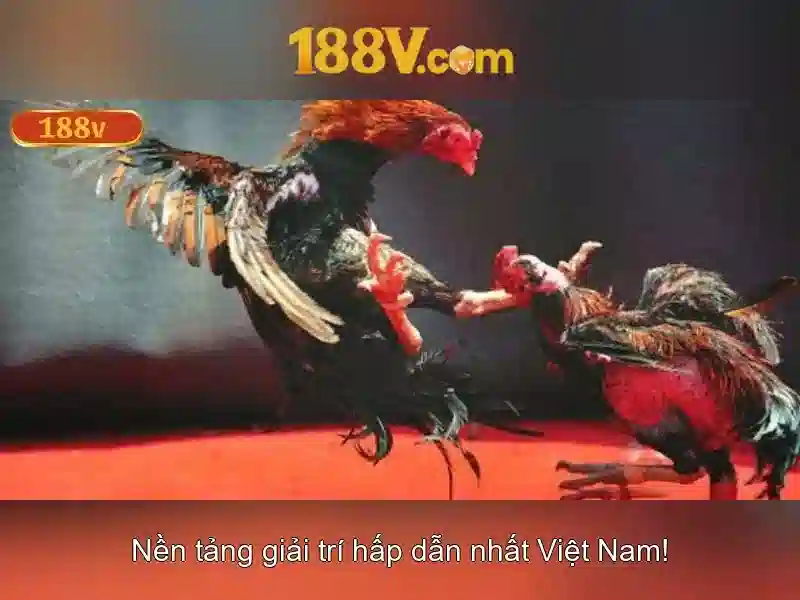 Quy trình rút tiền 188V