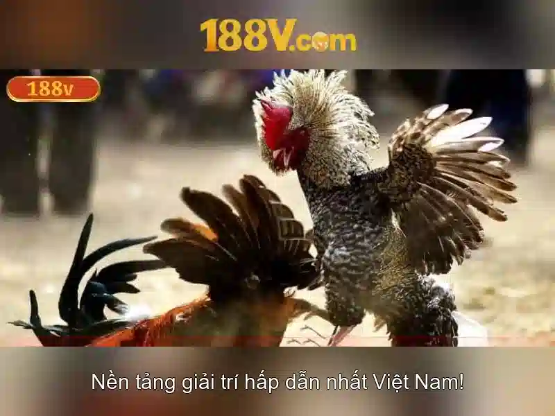 Ưu Đãi Rút Tiền 188V