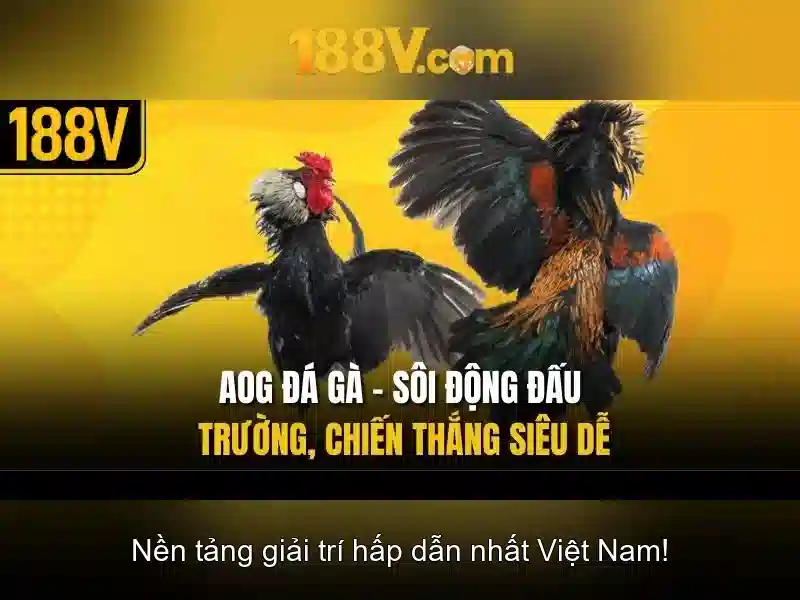 Tải App 188V