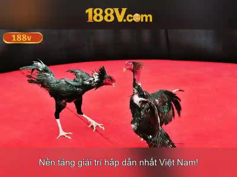 Trải nghiệm Slot đỉnh cao tại 188V