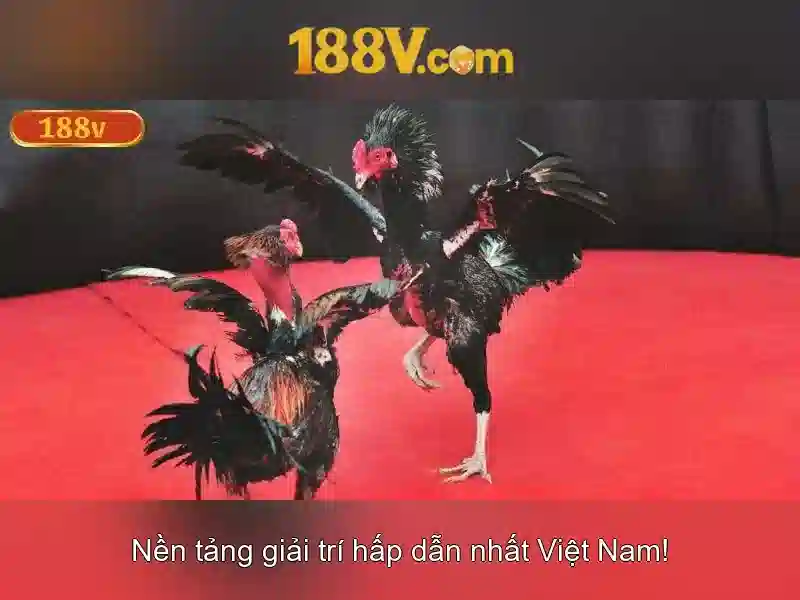 Giới Thiệu Giftcode 188v