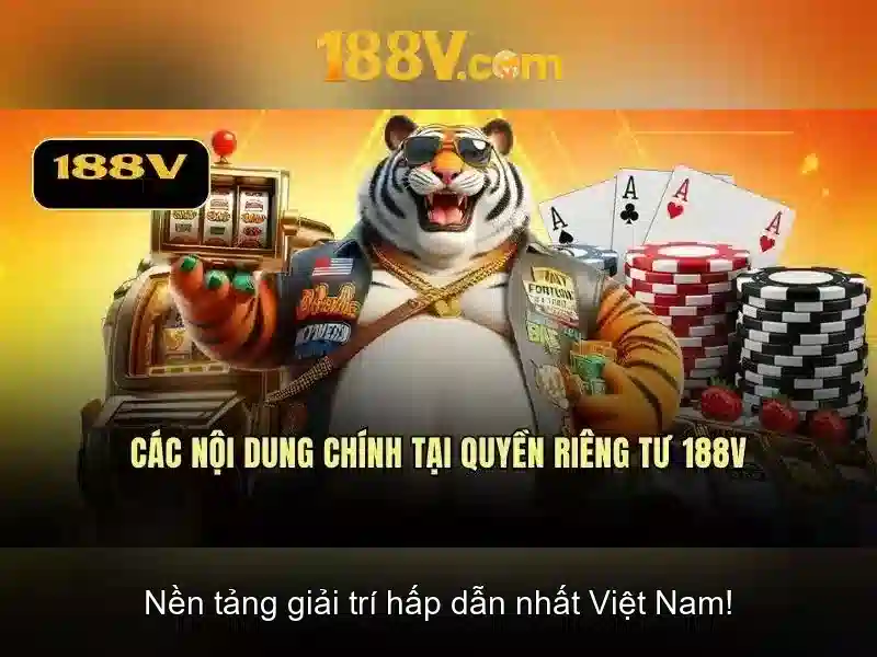 Từ Chối Trách Nhiệm 188V